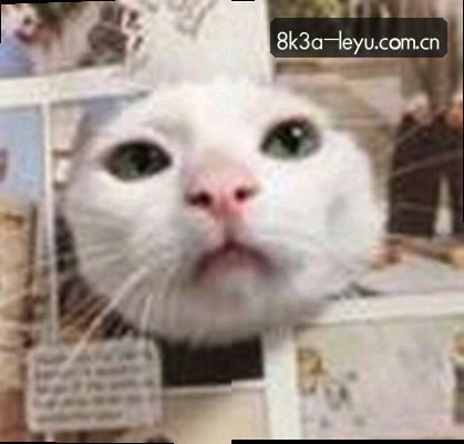 赵敏